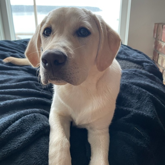 Meet your Posher, Justine - Picture 3 of 3